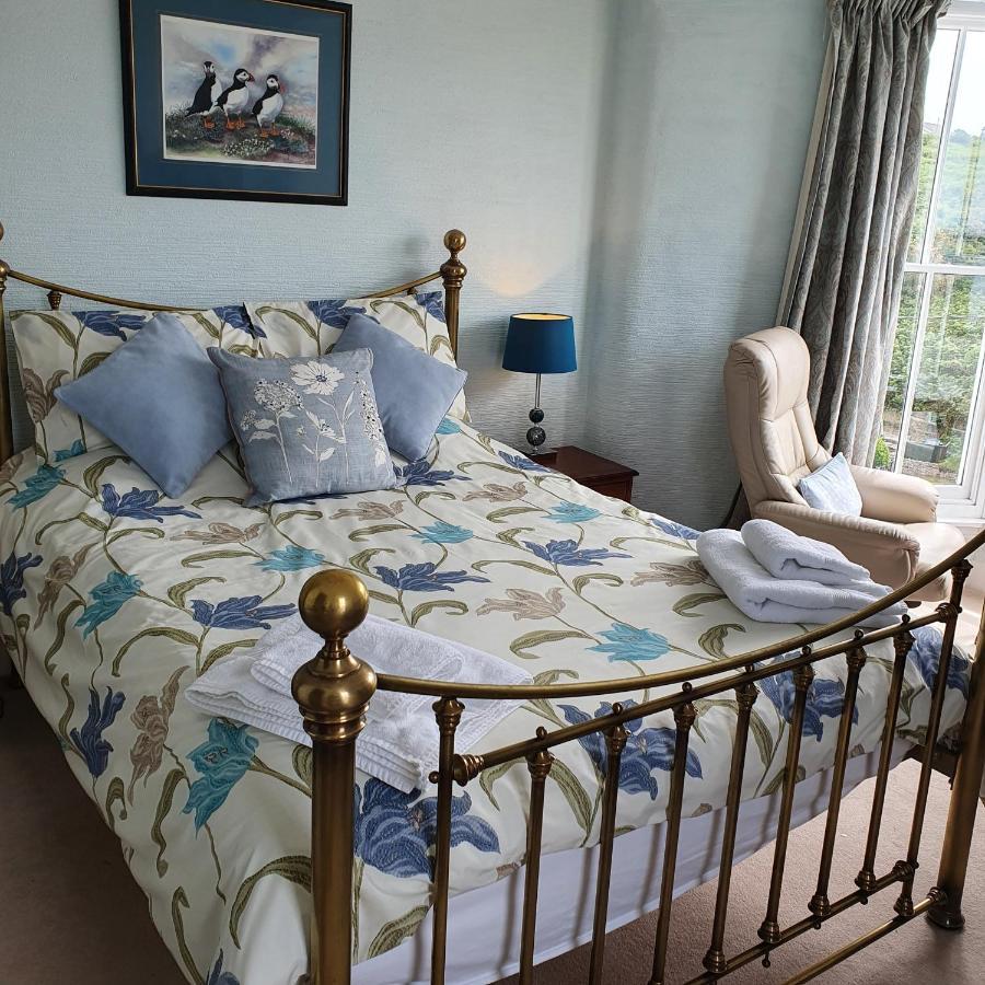 Pendyffryn Manor Bed & Breakfast Little Haven Exterior photo