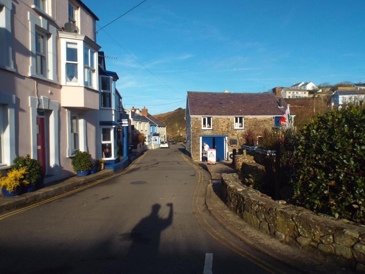 Pendyffryn Manor Bed & Breakfast Little Haven Exterior photo